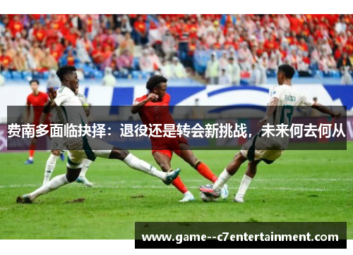 费南多面临抉择:退役还是转会新挑战,未来何去何从 费南多面临抉择:退役还是转会新挑战,未来何去何从